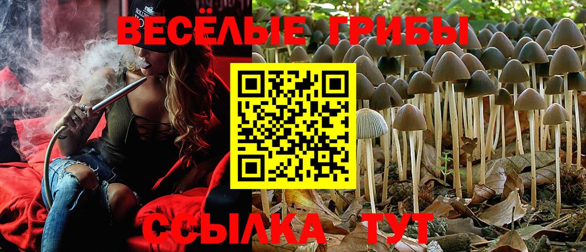 Галлюциногенные грибы Magic Shrooms  Вход с VPN  Луховицы 