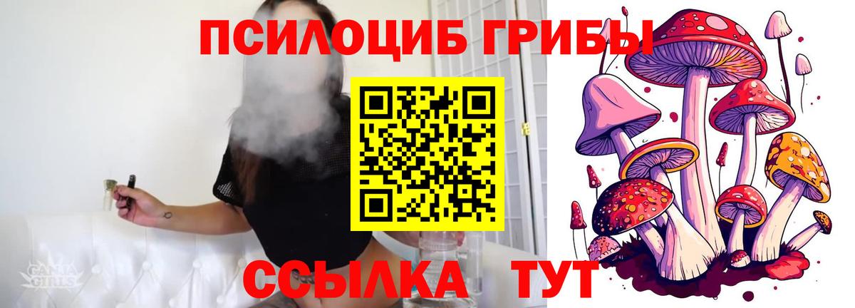 Псилоцибиновые грибы Psilocybe Луховицы